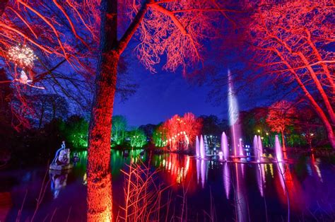 dazzling winter illuminations stockeld park
