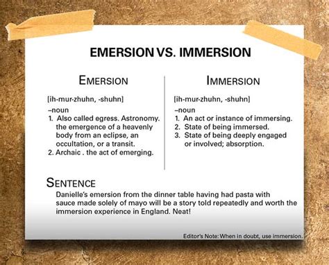 emersion  immersion flickr photo sharing