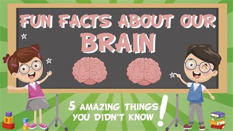 brain amazing fun facts educational   kids youtube