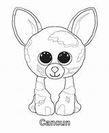 Beanie Boo Coloring Pages Ty Boos Duke Party Ice Babies Mario Colouring Print King Template Drawing Cancun Animal Printable Penguin sketch template