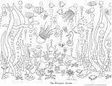 Ausmalbilder Adults Ozean Intuitive Tiere sketch template