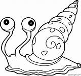 Escargot Snail Coquille Coquillage Coloringall Une sketch template