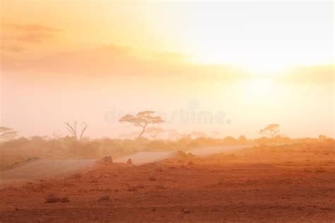 road  african savannah  misty light stock photo image  african desert