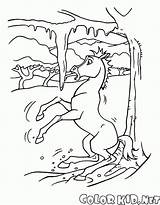 Doliny Dzikiej Mustang Kolorowanki Pierwsza Zima Ducha Kolorowanka sketch template