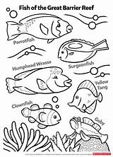 Biologist Exotic Fishy Printables sketch template