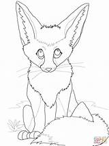 Fox Coloring Pages Cute Baby Fennec Realistic Drawing Color Clipart Printable Online Anime Grey Library Eared Bat Getdrawings Designlooter Popular sketch template