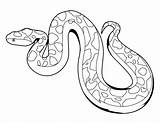 Snake Coloring Pages Snakes Printable Kids Colouring sketch template