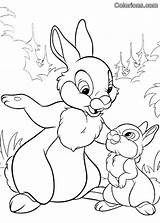 Bunnies Conejos Colorions Coloriages Impressions Tambor sketch template