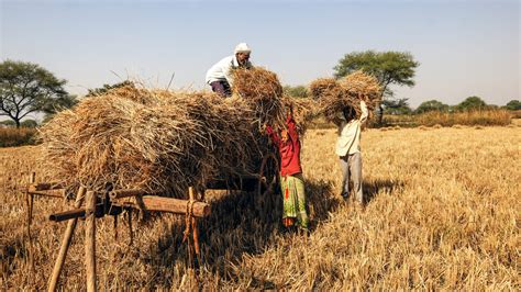 India’s Failing Enterprise The Agriculture Sector South
