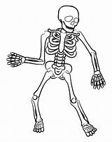 Skeleton Printablee sketch template