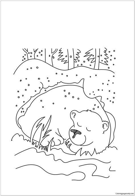 bear hibernating coloring page  coloring pages