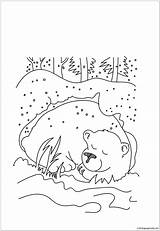 Bear Hibernating Pages Coloring Color Online Printable Coloringpagesonly sketch template