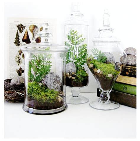 todays decor obsession lets talk about apothecary jars