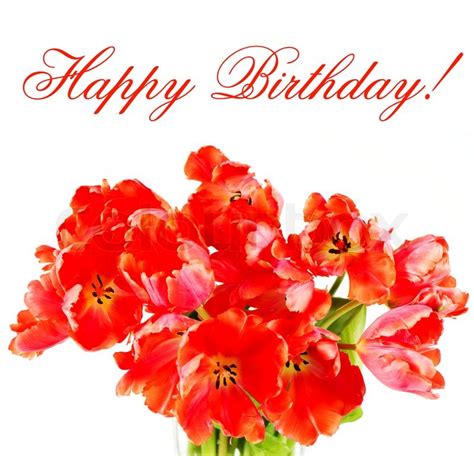 red tulips happy birthday card concept stock photo colourbox