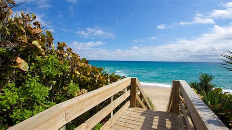 Phipps Ocean Park In Palm Beach Florida Expedia