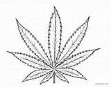 Marijuana Weed Leaves Blatt Doubles Solving Dope Blätter Ausdrucken sketch template