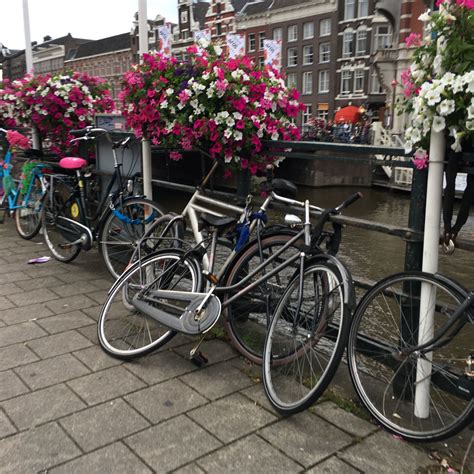 pin  emma langley  amsterdam dutch bike amsterdam bike dutch bicycle