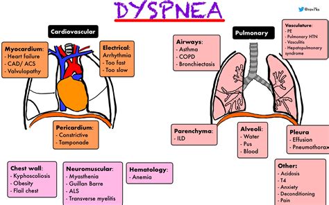 dyspnea differential diagnosis cardiovascular grepmed