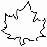 Maple Coloring Leaf Fall Outline sketch template