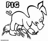 Pig Coloring Pages sketch template