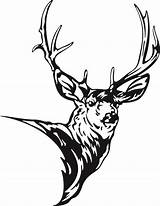 Deer Head Drawing Clipart Tribal Line Mule Silhouette Clip Stag Elk Drawings Cliparts Outline Hirsch Antlers Clipartmag Designs Google Library sketch template
