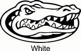 Gators Florida Logo Drawing Gator Silhouette Car Coloring Decal Pages Template Vinyl Sticker Getdrawings Drawings Paintingvalley Sketch sketch template