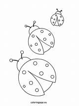 Ladybug Coloring Pages Ladybugs Template Flower Bug Printable Coloringpage Eu Preschoolers Color Cartoon Kids Patterns Lady Crafts Applique Templates Spring sketch template