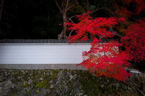 typical japanese red  kyoto  nma id photohito