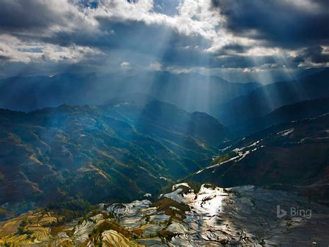 sunlight rice paddy terraces china  bing desktop