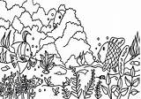 Reef Coloring Barrier Corail Coloriages sketch template