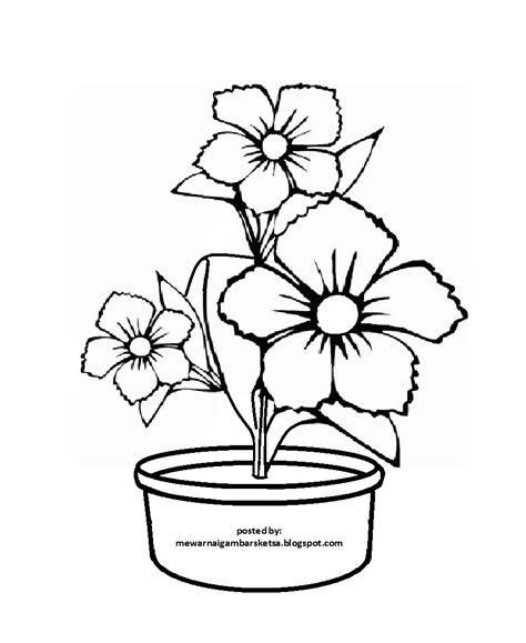 gambar ilustrasi bunga mewarnai gambar  mewarnai gambar