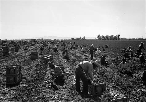 When American Farmers Wanted Cheap Labor They Actually Lobbied