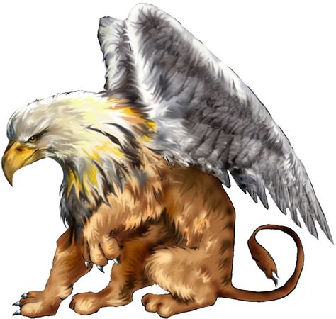 griffins images griffin hd wallpaper  background