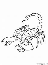 Scorpion sketch template