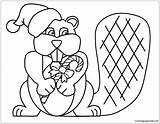 Pages Beaver Coloring Holidays sketch template