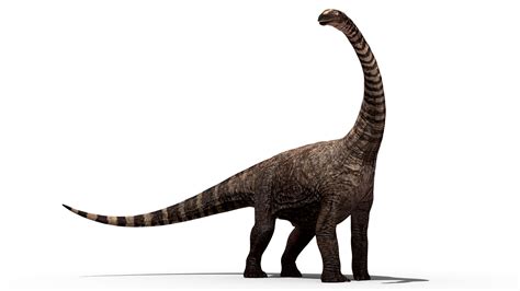 dinosaur stegosaurus dinosaur png png