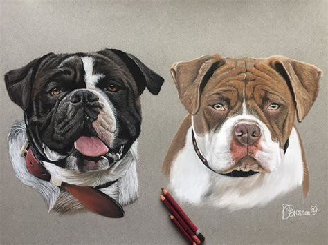 beautiful pet portraits   animal portrait artist liverpool uk