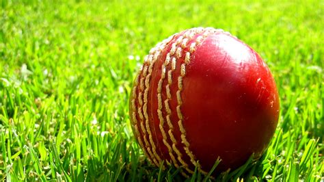 cricket background red ball cricket wallpaper