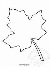 Leaf Template Autumn Drawing Coloring Maple Leaves Printable Fall Templates Oak Palm Write Pages Tree Names Kindergarten Pattern Branch Coloringpage sketch template