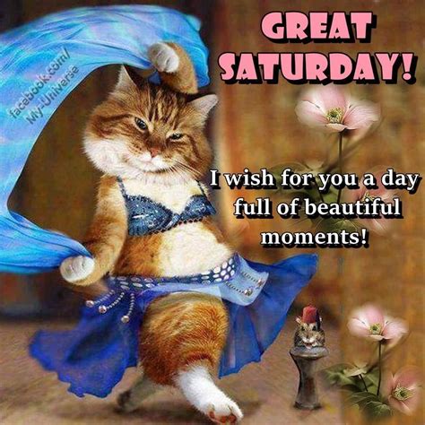 great saturday saturday saturday quotes saturday images great saturday