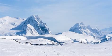 8 Fakta Mencengangkan Tentang Antartika Tempat Terdingin