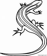 Skink Reptile Coloringall Lined Lizards sketch template
