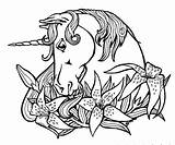 Coloring Pages Unicorns Unicorn sketch template