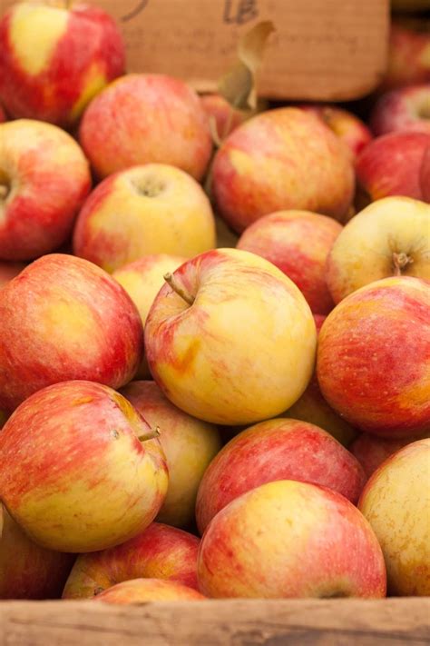 The Best Apples For Baking Kitchn No Cook Desserts Apple Desserts