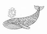 Balena Mandala Zentangle Vettore Tatuaggio Illustrazioni sketch template