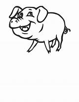 Pig Coloring sketch template