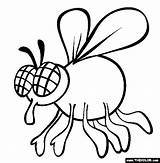Fly Coloring Pages Color Insect Printable Print Shoo Cartoon Sheet Online Animals Swatter Clipart Drawing Animal Kids Bother Thecolor Sheets sketch template