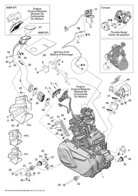bombardier  renegade  efi engine  parts catalog