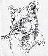 Drawings Dotted Drawing Pointillism Cats Animal Getdrawings Dot Coloring sketch template