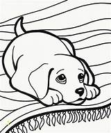 Pages Dog Fall Color Printable Printouts Awesome Unique Divyajanani sketch template